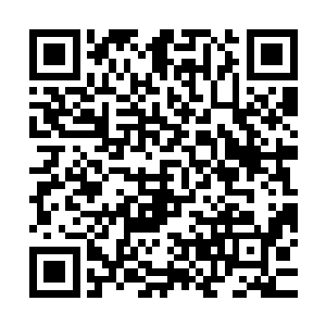 他只是简单的交代了几句就站到了白兰身边准备同他一起离开了二维码生成