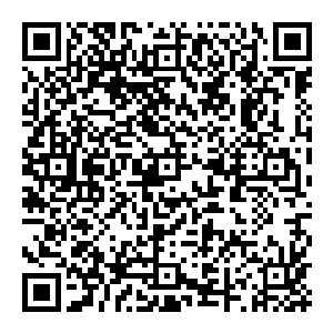 他只觉头晕眼花 胸口剧痛无比 似乎五脏六腑都在这一掌之下给拍得粉碎 眼前无数人影晃动 竟是在这一刻出现了幻觉二维码生成