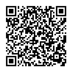他可不会为了所谓的面子而搞什么公平决斗的把戏……那是逗比才会做出的决定二维码生成