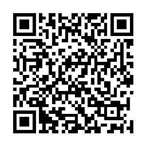 他可不会因为这只哈巴狗长得人畜无害的样子就放松警惕二维码生成