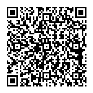 他可不希望这个掌握了幻魔指的野蛮人死在这一只灵兽王的手中……至少在秦方学会幻魔指之前二维码生成