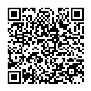 他可以凭借血液和海水震动以及声音多方面多角度地锁定你的位置二维码生成