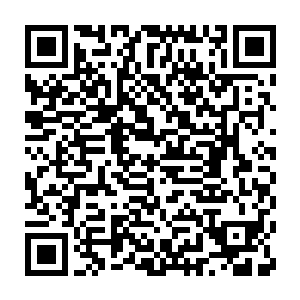 他可以少走很多弯路的……少走弯路就代表着实力进阶的速度会很快二维码生成