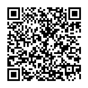 他可以让你研究怎么快速检验个体是否携带ds基因――怎么去给这个流程加速二维码生成
