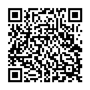 他可是清楚地记得以前有一位同行在保护小姐的时候小姐被划伤二维码生成