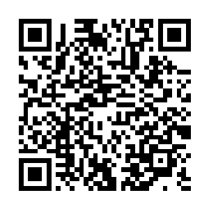 他可是费了好大功夫才打探到这灵果的形状模样和功效二维码生成