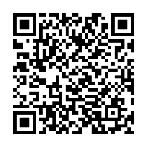 他可没忘记他有个什么样的娘……沈真眸底掠过一抹阴鸷二维码生成