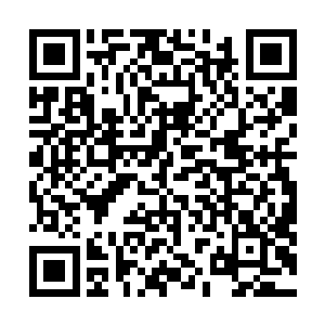 他可能会看出范海辛在画这幅图时用的是羽毛笔而非钢笔二维码生成