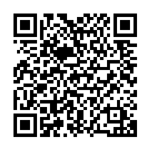他吞噬的无数仙果灵药都已经化作潜力深深地沉淀在了他的体内二维码生成