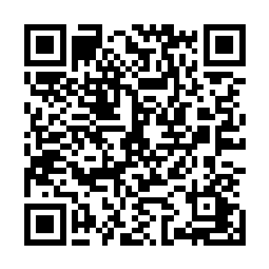 他和妮娜的家里又多了彷如山一样高的各种大小包裹和箱子二维码生成
