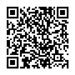 他和白起的约定是白起可以帮他出手解决三次难题二维码生成