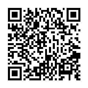 他和羽只用了一年的时间就将所有的台阶修整打扫完毕二维码生成