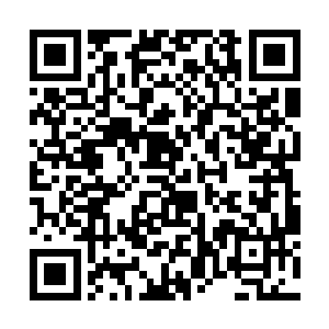他和许嫣红的缘分已经从自己离开时就宣告着结束了二维码生成