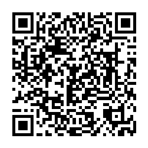 他唯一的工作就是把主席台上那个号码牌按照竞拍的结果翻成对应的数字二维码生成