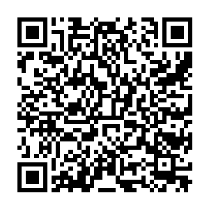 他喝了那么多猴儿酒所积攒的力量在刚才的一瞬间也全都爆发出去了二维码生成