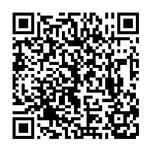 他在加盟仪式上所说的那番豪言壮语实在是太……草率轻狂了一点……他很好二维码生成