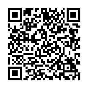 他在夏天的识海里无法去探查夏天布置的是什么阵法二维码生成