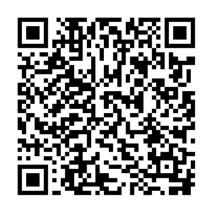 他在外面创建的烈焰佣兵团已经违背了我们十大守护家族以前定下的规矩二维码生成