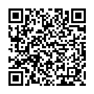 他在巨神兵以及黑夜兰带到古圣界的所有晶铠上设置的后门二维码生成