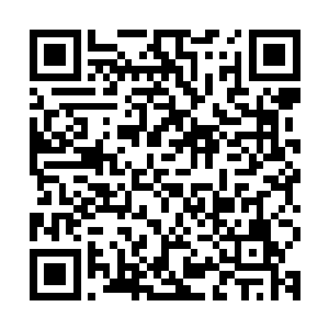 他在很小的时候就已经被确立为海神殿未来海皇唯一的继承人了二维码生成