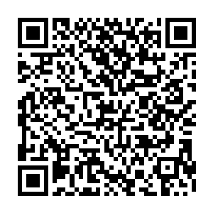 他在来之前已经派手下妖族前去通知紫幽派众人和枫可儿带领的植物系妖族二维码生成