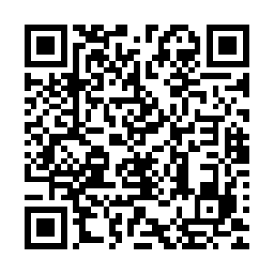他在演技的探索道路上绝对不能因为奥斯卡而动摇自己的信念二维码生成