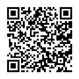 他在离开山林的时候遇到了另一批来林中做任务的高阶修士二维码生成