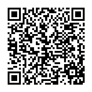 他在这堆有关计算机周边产品的专利名单里没发现网络摄像头的任何信息二维码生成