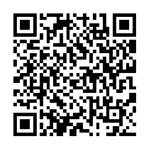 他在这方面也许真的是……可以不将所有人放在眼里了……二维码生成