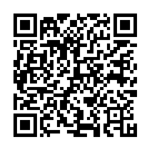 他坚信如果马加特能够从一开始就像信任荣光一样信任自己二维码生成