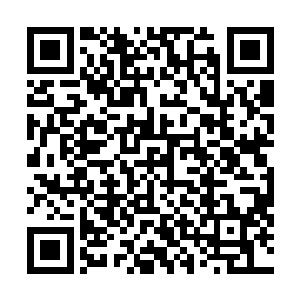 他好像是……故意在等着我们……我完全被他骗倒了……二维码生成