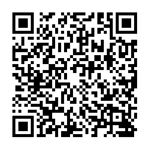 他娘亲要他一会见到两位外婆的时候立刻扑上去然而吸引住两位外婆的注意力二维码生成