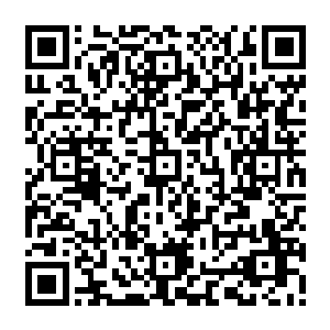 他完全可以在十大佣兵王的排名上更加靠前的……至少也可以挤掉罗西而排到第八位二维码生成