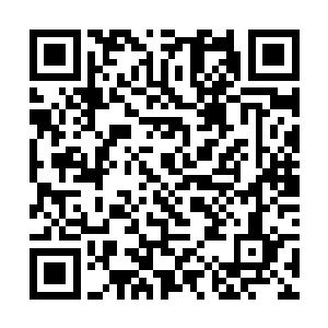 他完全可以重新让汉娜一家变得和以前一样作为报复二维码生成