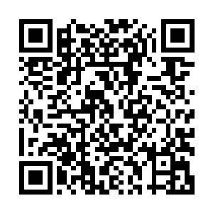 他实在是想不到自己娄然在无意中发生了如此天翻地覆的突破二维码生成