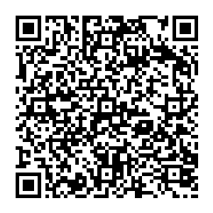 他实在是无法忍受米家宣那撕心裂肺的声音那种感觉就好像有一把冰冷的刀子狠狠的刺在自己的心坎上一样二维码生成