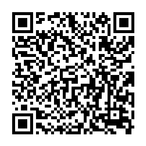 他实在是没有想到吴虎臣居然这般轻松的便挡住了自己最强的一次攻击二维码生成