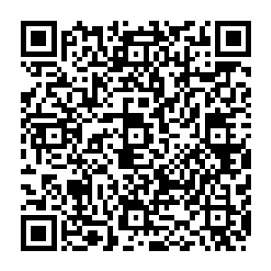 他家老祖宗当年特意经历了几十年方才寻到与真玉佩几乎一样质地的玉精心打造而成二维码生成