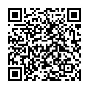 他家院门被一名穿着粗布长裙的少女跌跌撞撞的撞开了二维码生成