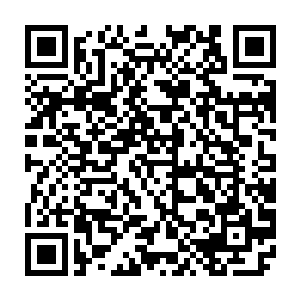 他对于万法堂传下来的震门法诀万法归宗诀更是有着一种常人难以理解的自傲二维码生成