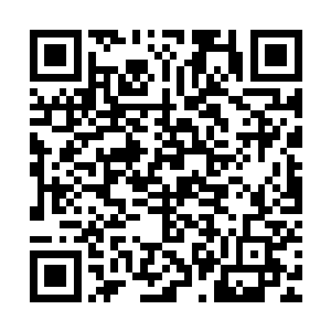 他对埃尔文的话也并非完全相信的……这家伙未必会那么老实的二维码生成