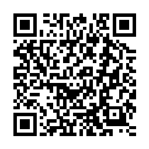 他对着正在发呆的女仆艾斯妮和正在准备再次攻击的纳甲土尸道二维码生成