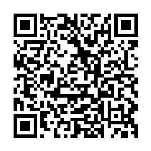 他将对应的批注版和教学视频也下载到了自己的万界通识符内二维码生成