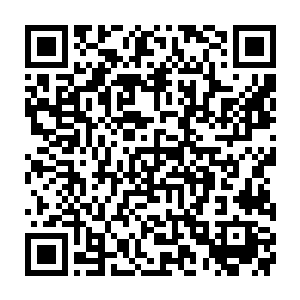 他将那满是自己精血的手指狠狠地点在了他眉宇之间的那与生俱来的雷霆印记二维码生成