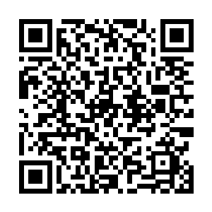 他将镇妖城分行所有的仙尊期的妖兽皮和血液都带了过来二维码生成
