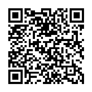 他就会让苏家帮他调查一下五大中心与那个神秘组织的情报二维码生成