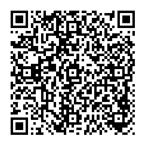 他就已经发现了银脚小猫的存在了……但他总觉这是银脚小猫在他身上施展的某种特殊的秘术产生的笑容二维码生成