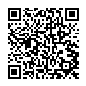 他就忍不住会想到他的女儿蕊蕊是不是也沉浸在垂死挣扎的边缘二维码生成