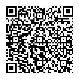 他就想做得这么神奇的骨承怎么可能会没有整个炼骨族知识传承积累的图书馆一般的存在二维码生成