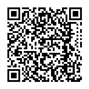 他就算是喊破了喉咙也没用了……清远老头已经死在秦方的手上了二维码生成
